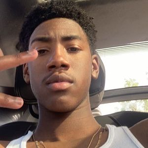 Meet your Posher, Harrison